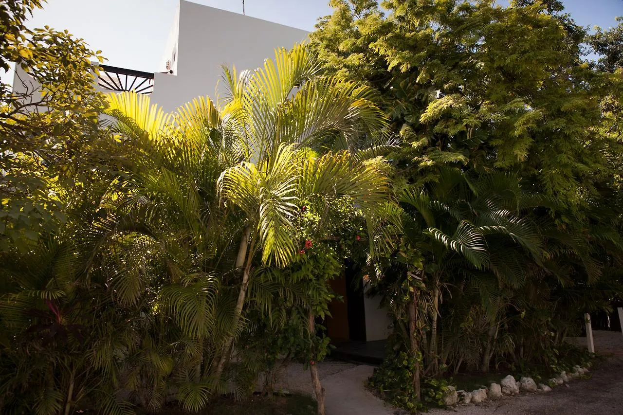 ***  Mango Tulum Hotel México