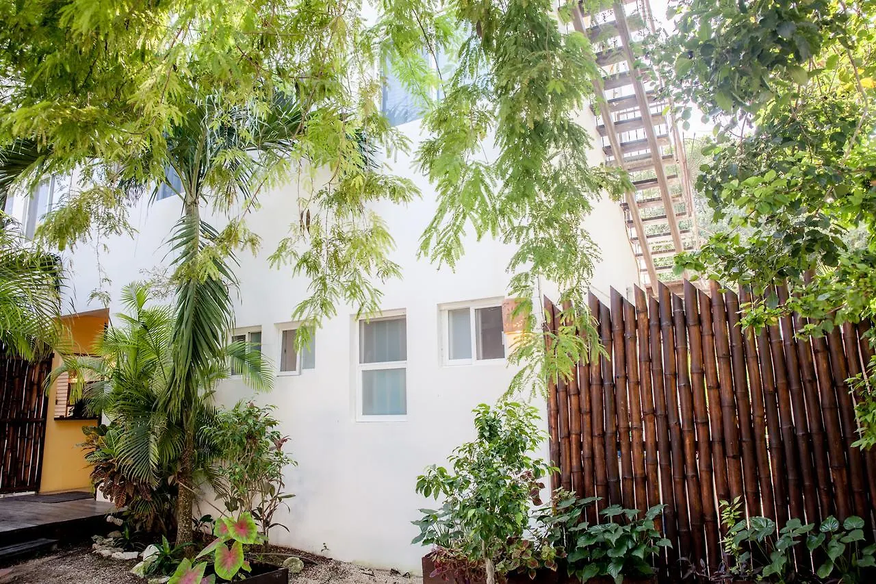 Mango Tulum Hotel