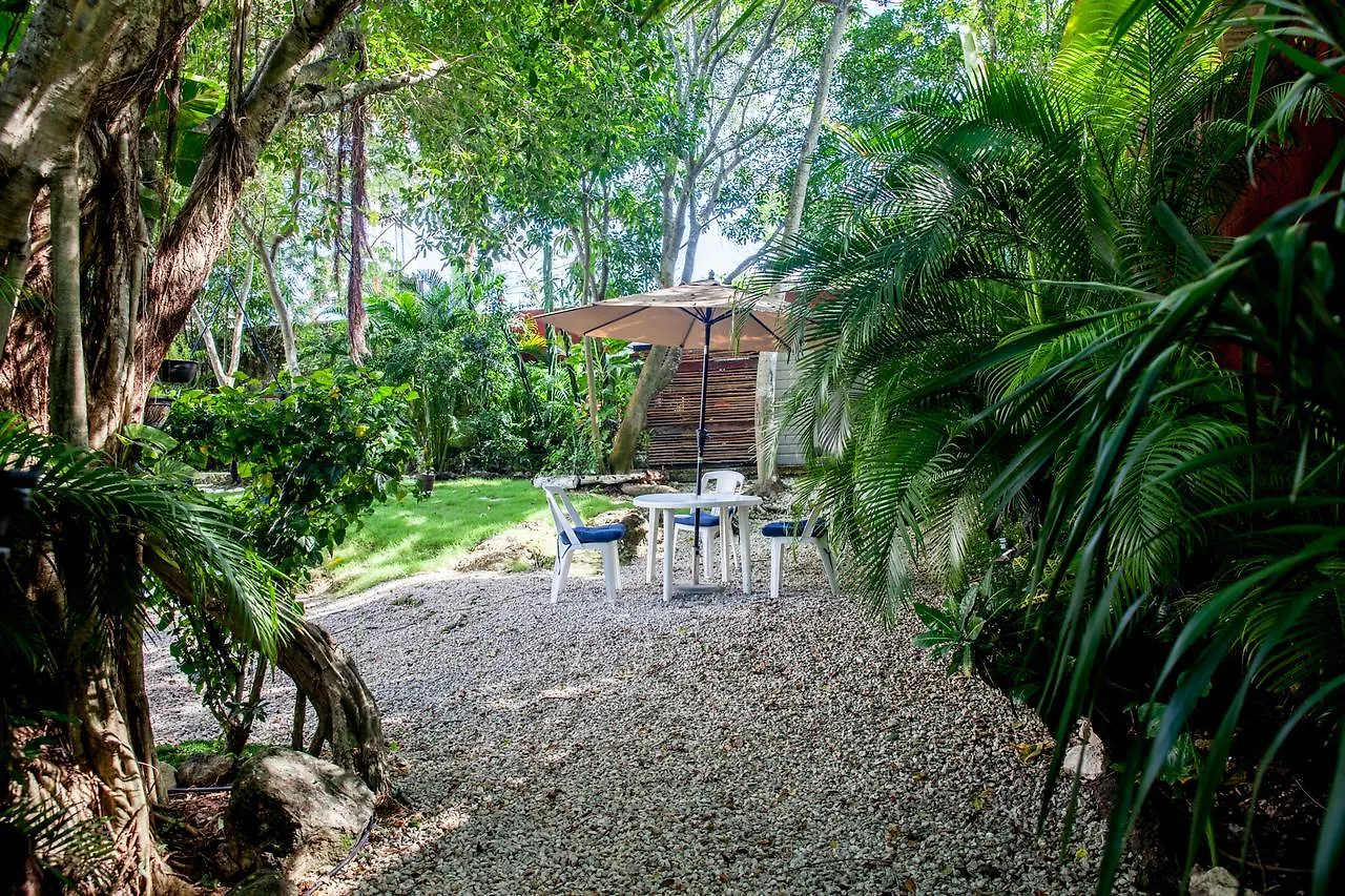 Mango Tulum Hotel