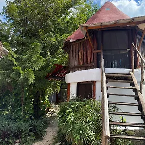 Pensión Tree House